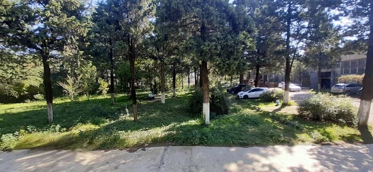 საწარმოს ტერიტორია — ფოტო 2